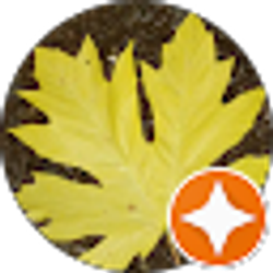 Profile photo of Katherine Iosif