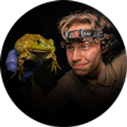 Profile photo of Chase Hein