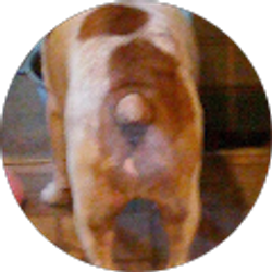 Profile photo of Gary Reid