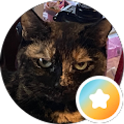 Profile photo of Michael Sugar