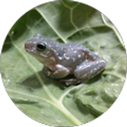 Profile photo of milf awareness