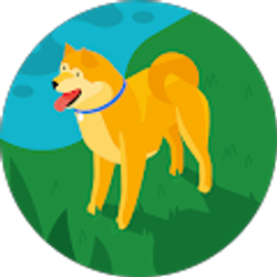 Profile photo of Mel Vigil