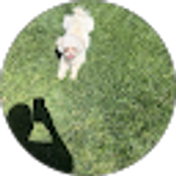 Profile photo of Delai Fithii