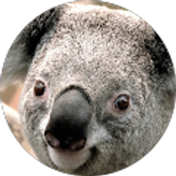 Profile photo of Karla Bennett