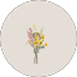 Profile photo of Katelyn Medlock