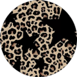 Profile photo of Stephanie Stephens