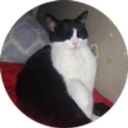 Profile photo of Jesse Young