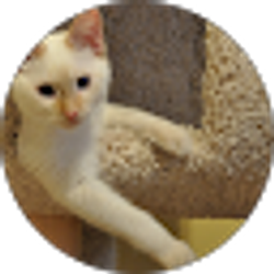 Profile photo of Casey Foster