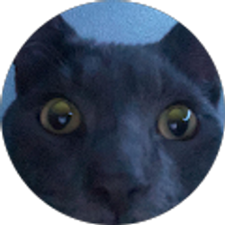 Profile photo of Garrett fernandes