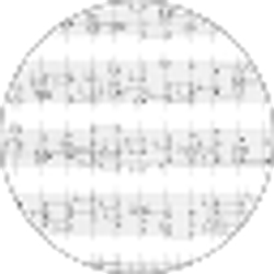 Profile photo of paulpac1