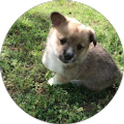 Profile photo of Michele Davenport