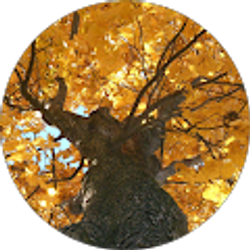 Profile photo of Jon Fritsch