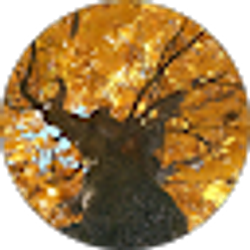 Profile photo of Jon Fritsch