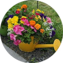 Profile photo of Jennifer Payne