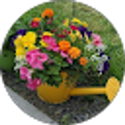 Profile photo of Jennifer Payne