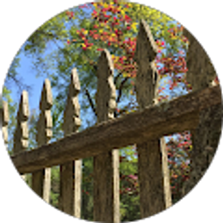 Profile photo of Lynn Barnwell