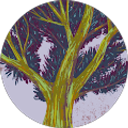 Profile photo of Tracy Day