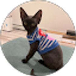 Profile photo of Acelynn Niu