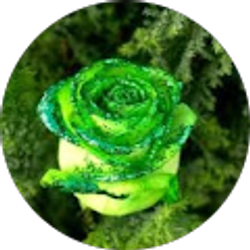 Profile photo of vicki ehinger