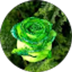 Profile photo of vicki ehinger