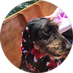 Profile photo of Chris Avila