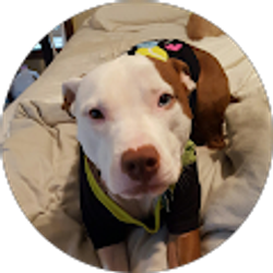 Profile photo of Christine Wells