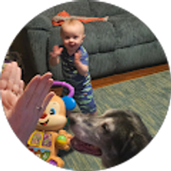 Profile photo of Stephen Silvers