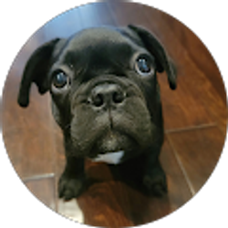 Profile photo of Bethany Molden