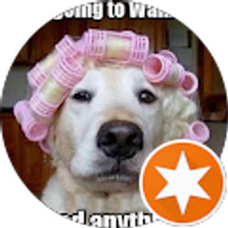 Profile photo of Laura Gaskins