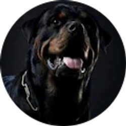 Profile photo of Tommy Ogundeyi