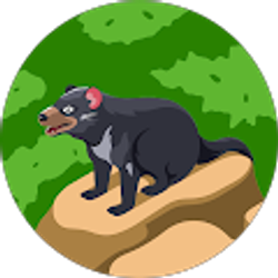 Profile photo of Mark Borrasso