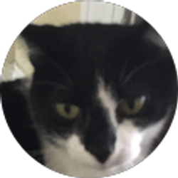 Profile photo of Travis Rosenberg