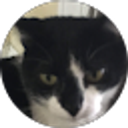 Profile photo of Travis Rosenberg