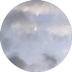 Profile photo of halena k