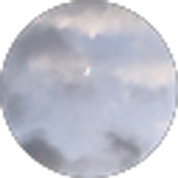 Profile photo of halena k