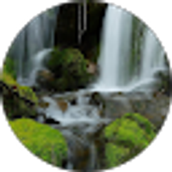 Profile photo of Ida Norrell