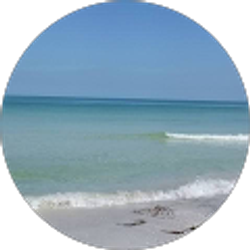 Profile photo of Sheryl Smith