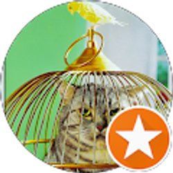 Profile photo of Judith Black