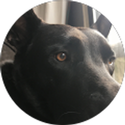 Profile photo of Sara