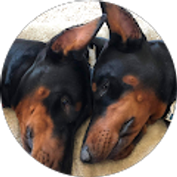 Profile photo of Terri Amundson