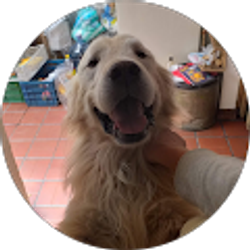 Profile photo of Pablo Rincón