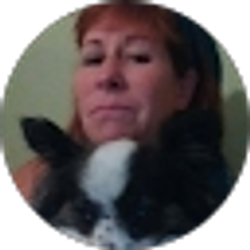 Profile photo of Jill Werner