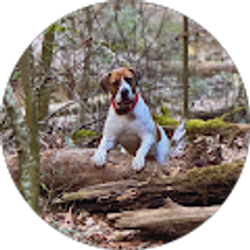 Profile photo of Bricklee Miller