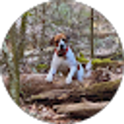 Profile photo of Bricklee Miller