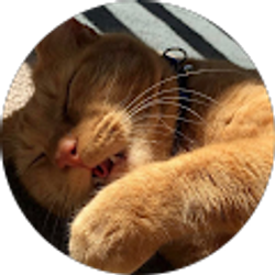 Profile photo of ebruv