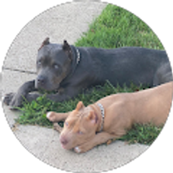 Profile photo of Orestila Ochoa (Tila)