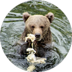 Profile photo of The Spindles