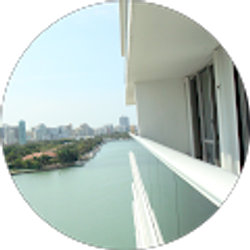 Profile photo of pedro rojas