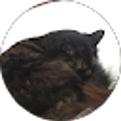Profile photo of Debbie Griffin