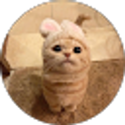 Profile photo of Ana Soriano
